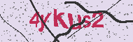 Güvenlik Kodu